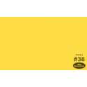 Фон бумажный Savage  2.72x11м 38-12 WIDETONE CANARY Канарейка